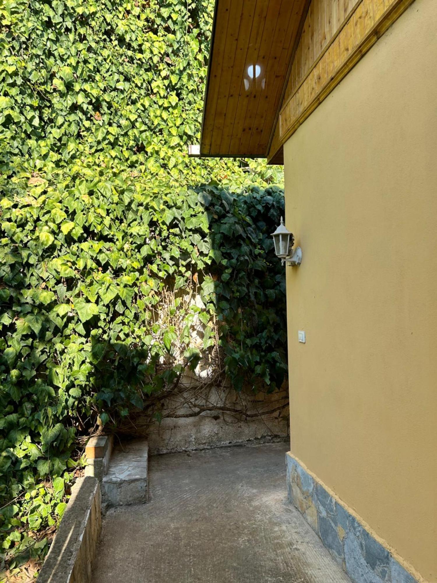 D1 Hostel Τίρανα Εξωτερικό φωτογραφία