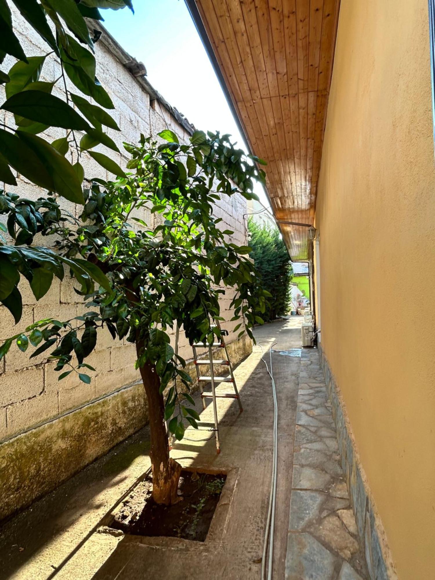 D1 Hostel Τίρανα Εξωτερικό φωτογραφία